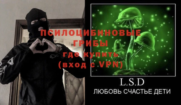 ГАЛЛЮЦИНОГЕННЫЕ ГРИБЫ Медногорск