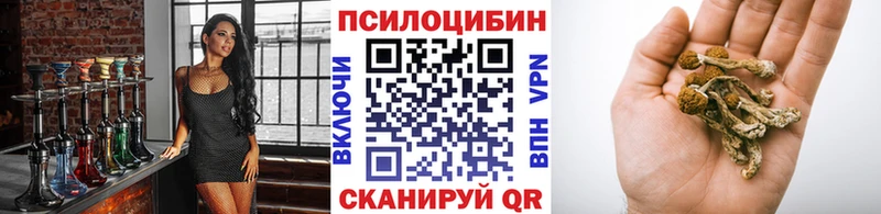 Псилоцибиновые грибы GOLDEN TEACHER  mega   мориарти официальный сайт  как найти закладки  Белгород 